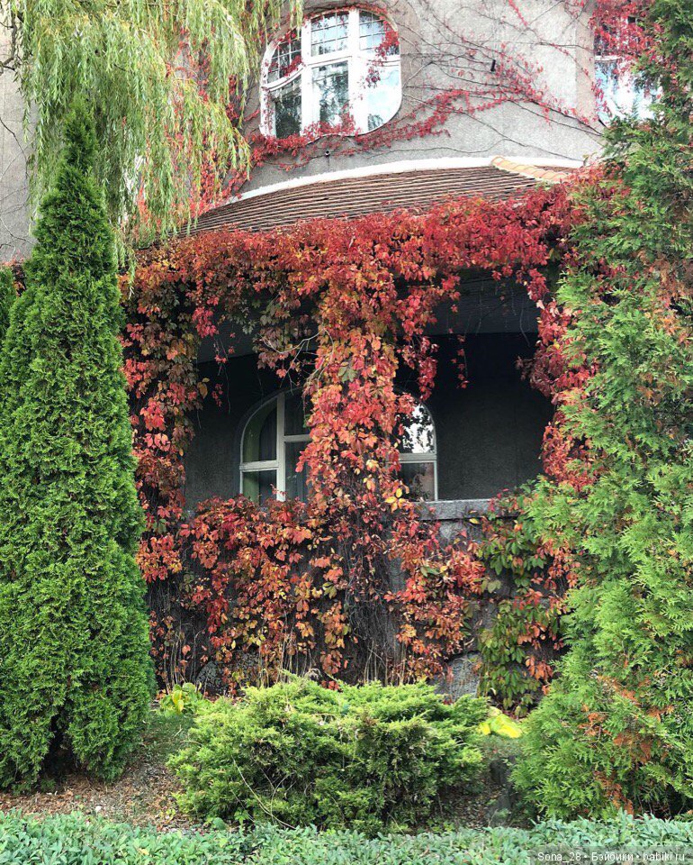 YOSD от DollZone. Jamie. Смена пола (фото 5)