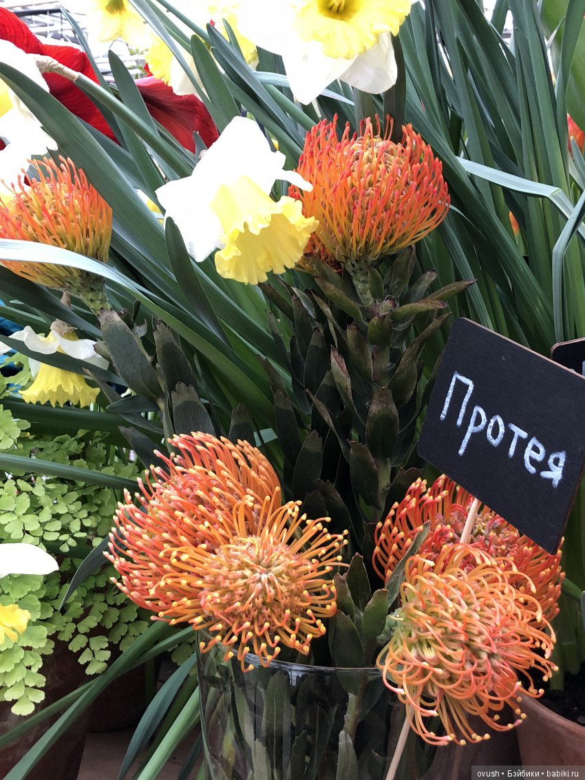 Весна - ну конечно же это ЦВЕТЫ, улыбки и хорошее настроение