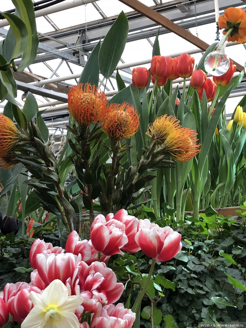 Весна - ну конечно же это ЦВЕТЫ, улыбки и хорошее настроение