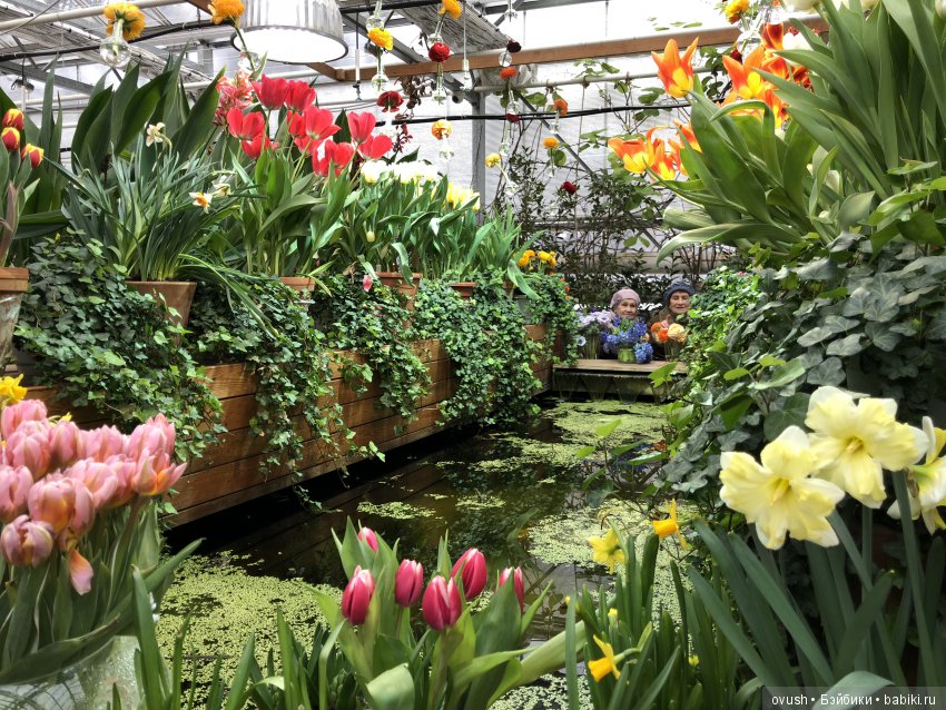 Весна - ну конечно же это ЦВЕТЫ, улыбки и хорошее настроение