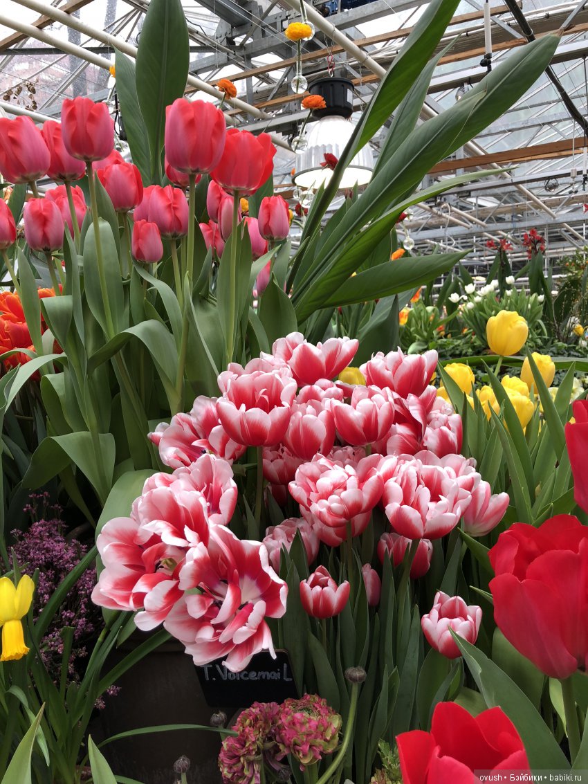 Весна - ну конечно же это ЦВЕТЫ, улыбки и хорошее настроение