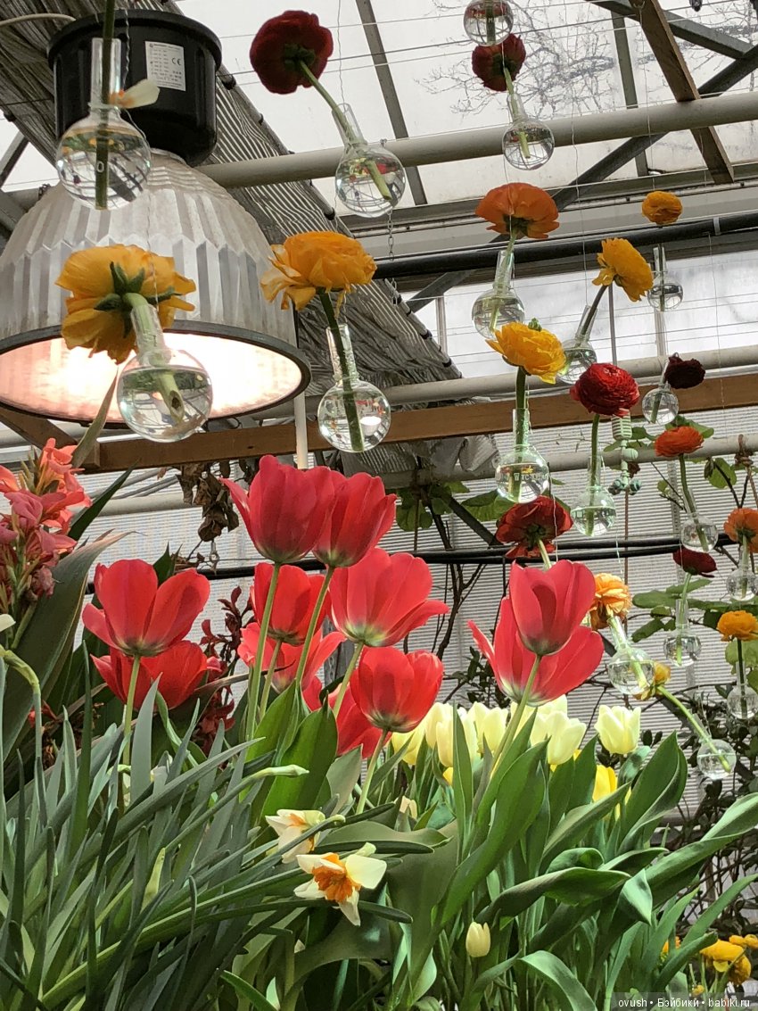 Весна - ну конечно же это ЦВЕТЫ, улыбки и хорошее настроение