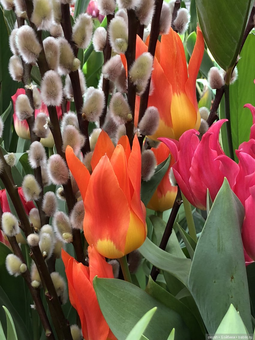 Весна - ну конечно же это ЦВЕТЫ, улыбки и хорошее настроение