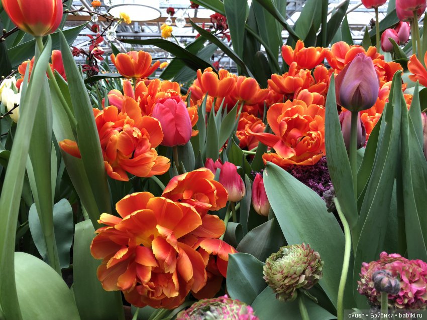 Весна - ну конечно же это ЦВЕТЫ, улыбки и хорошее настроение