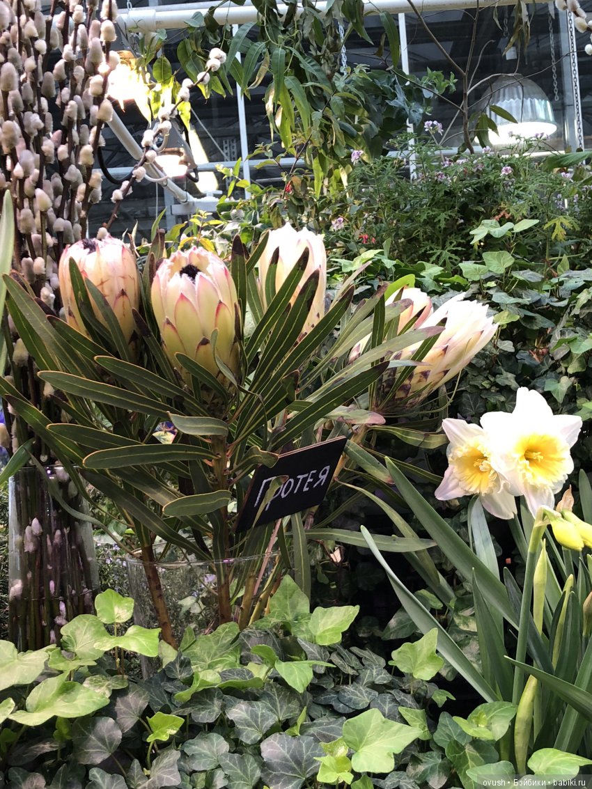 Весна - ну конечно же это ЦВЕТЫ, улыбки и хорошее настроение