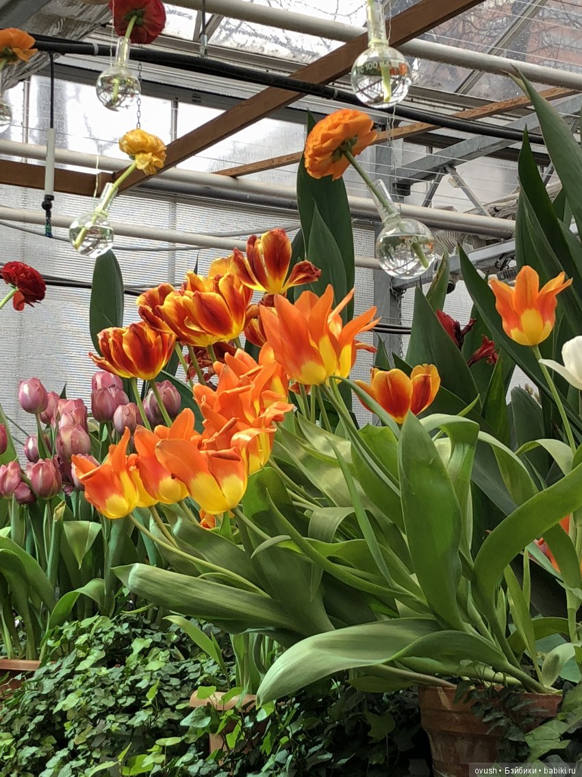 Весна - ну конечно же это ЦВЕТЫ, улыбки и хорошее настроение