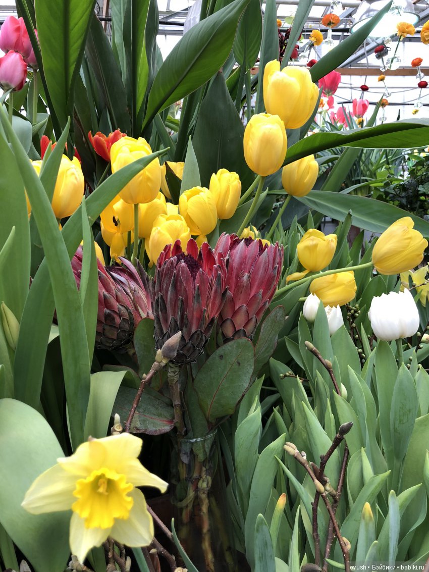 Весна - ну конечно же это ЦВЕТЫ, улыбки и хорошее настроение