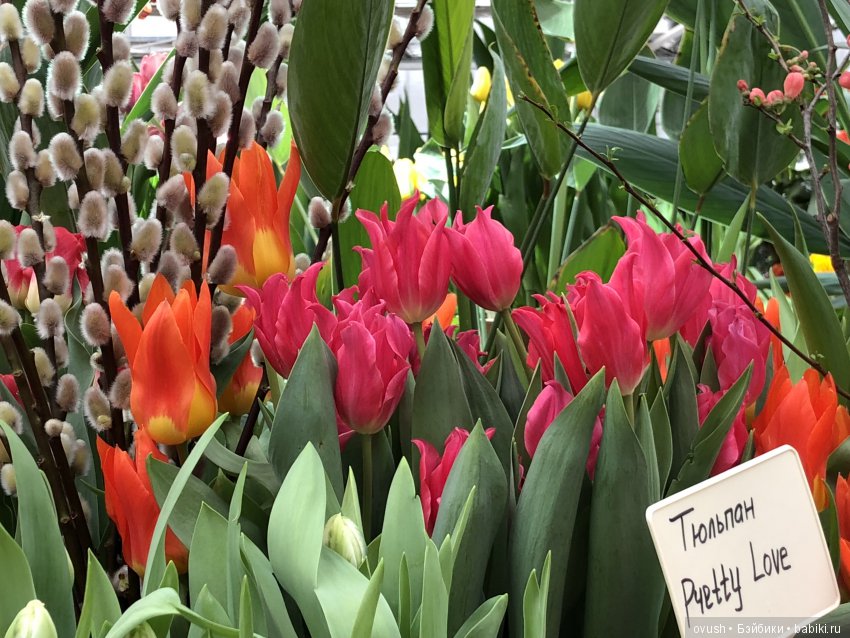 Весна - ну конечно же это ЦВЕТЫ, улыбки и хорошее настроение