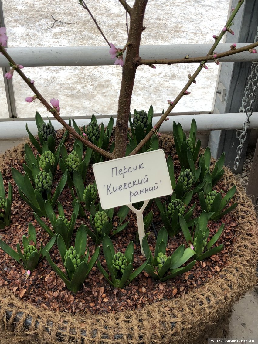 Весна - ну конечно же это ЦВЕТЫ, улыбки и хорошее настроение