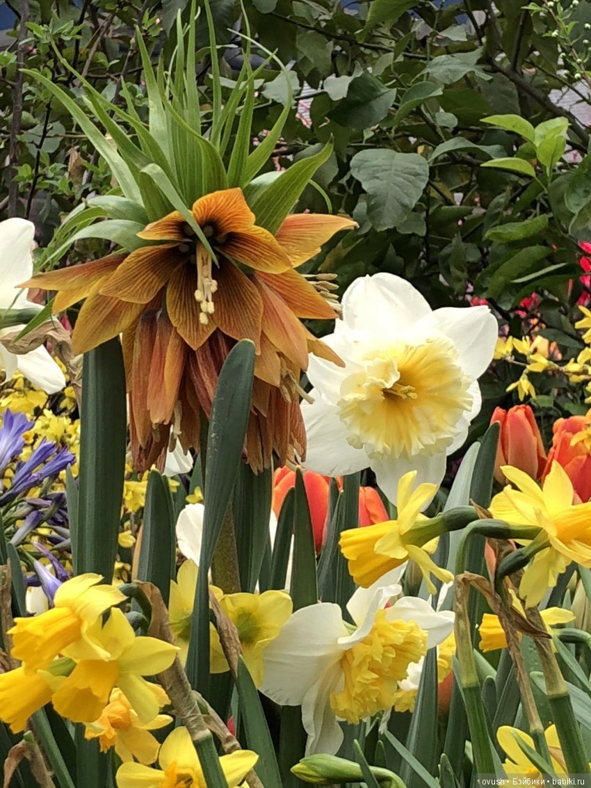 Весна - ну конечно же это ЦВЕТЫ, улыбки и хорошее настроение