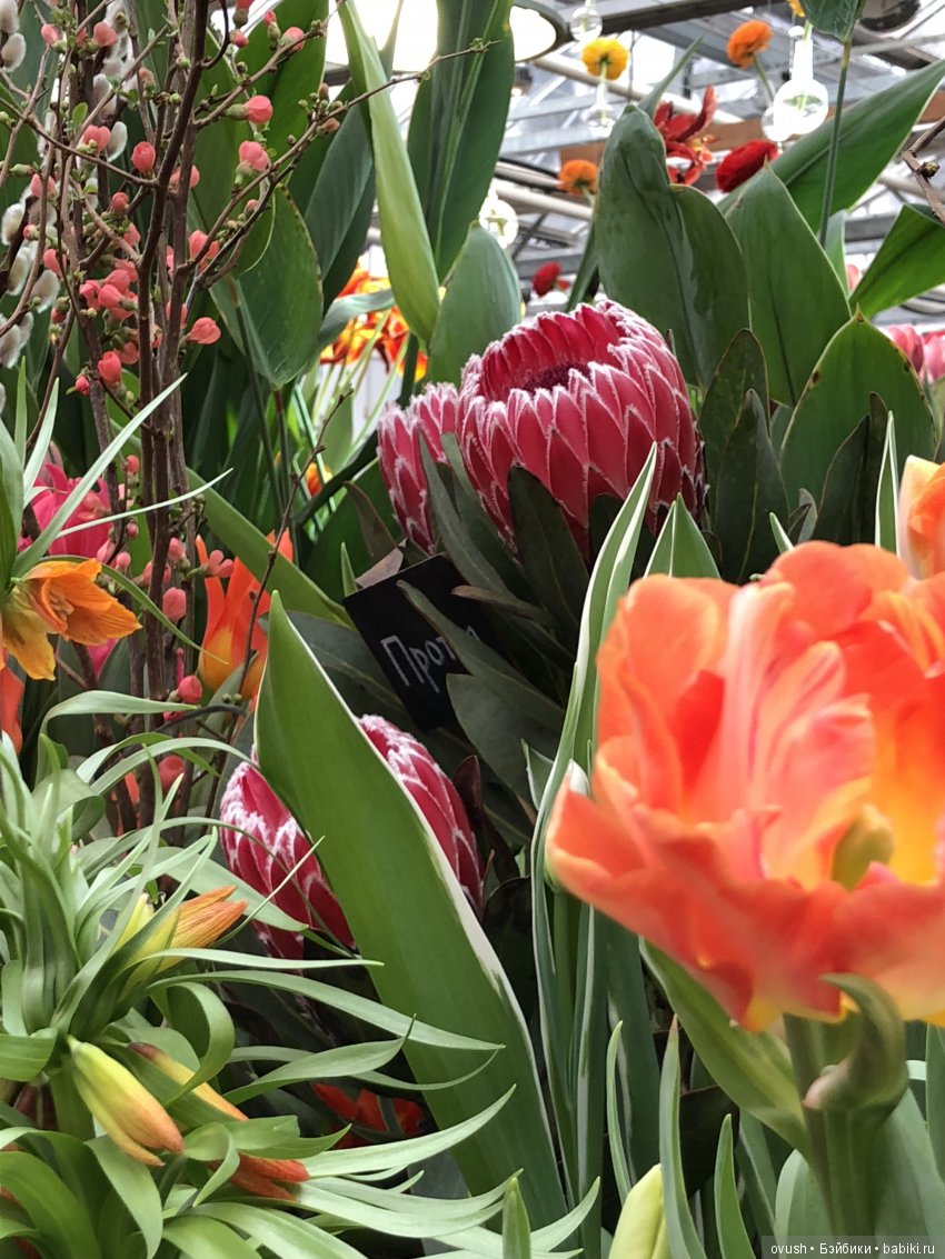 Весна - ну конечно же это ЦВЕТЫ, улыбки и хорошее настроение