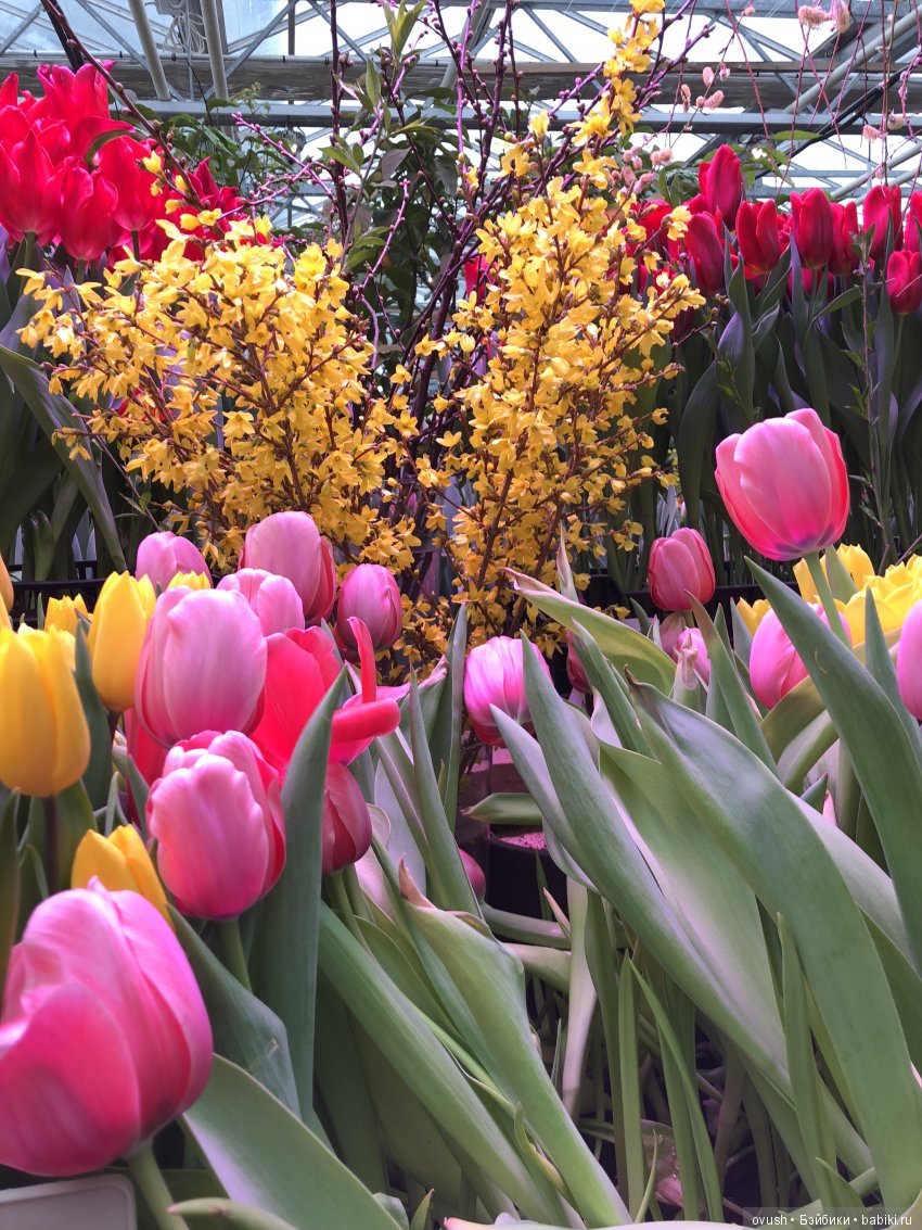 Весна - ну конечно же это ЦВЕТЫ, улыбки и хорошее настроение