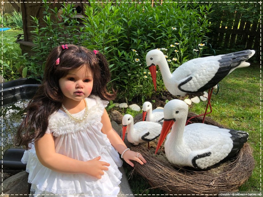 Химштедт-марафон закончился... еще один подарок - сестренка Анжелики (фото 8)