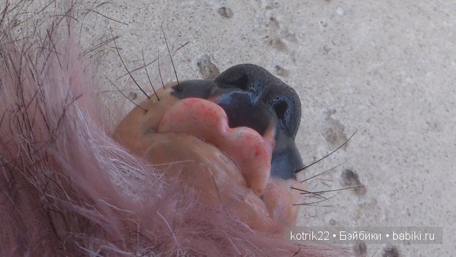 Курдюплики. Авторские игрушки (фото 9)