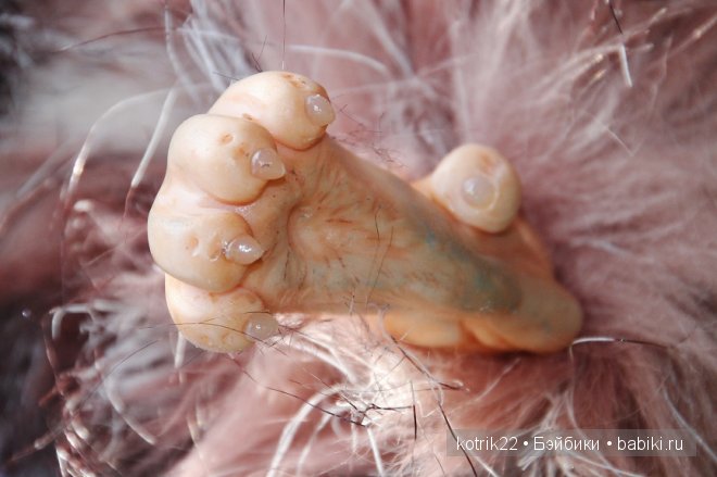 Кто такие курдюплики — Игрушки в смешанной технике (мех и глина): Арт (фото 2)