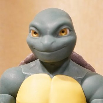 Черепашка. Ниндзя?