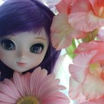 Pullip и не только. Семейство Groove