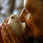 Таша Тюдор (Tasha Tudor). Сказка длинною в жизнь.