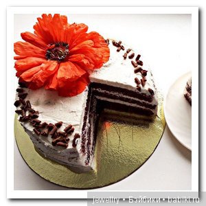 Продолжение темы фитнес-десерты (торты) (фото 4)