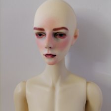 Продам dollzone ash на тушке hzbjd