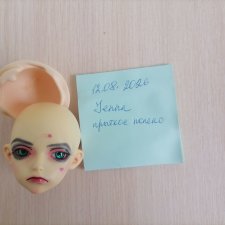 Голова minifee dina