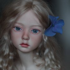 Моя Amy от Dollstown