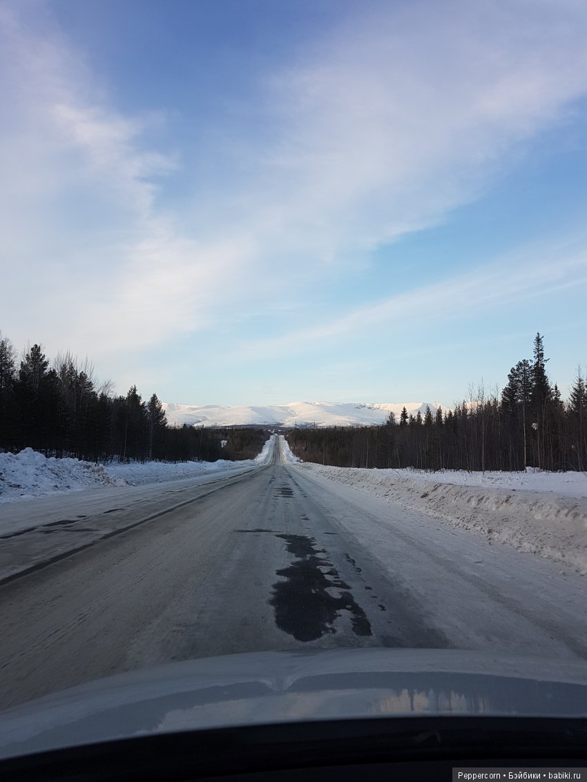 Как мы лондонца встречали | Бэйбики Как мы лондонца встречали
