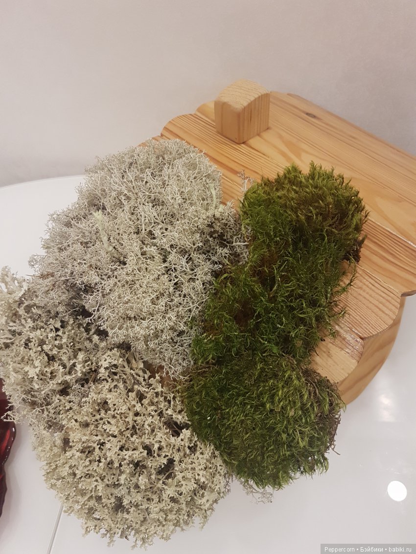 Дом для реалпуки. Часть 1