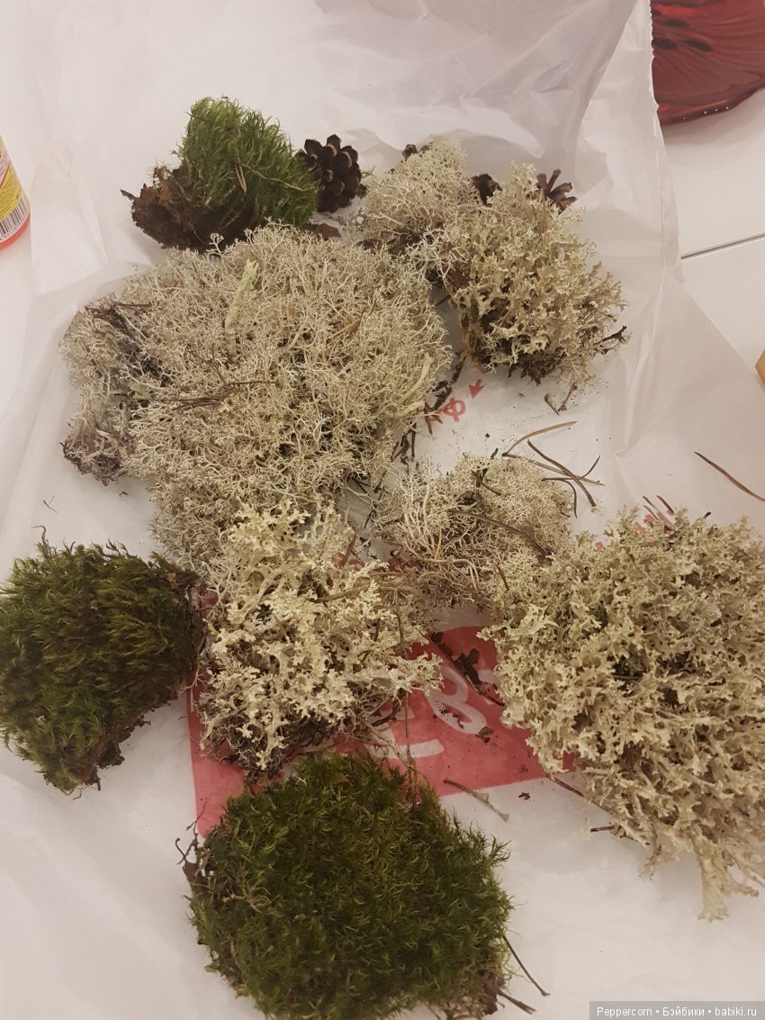 Дом для реалпуки. Часть 1 (фото 4)