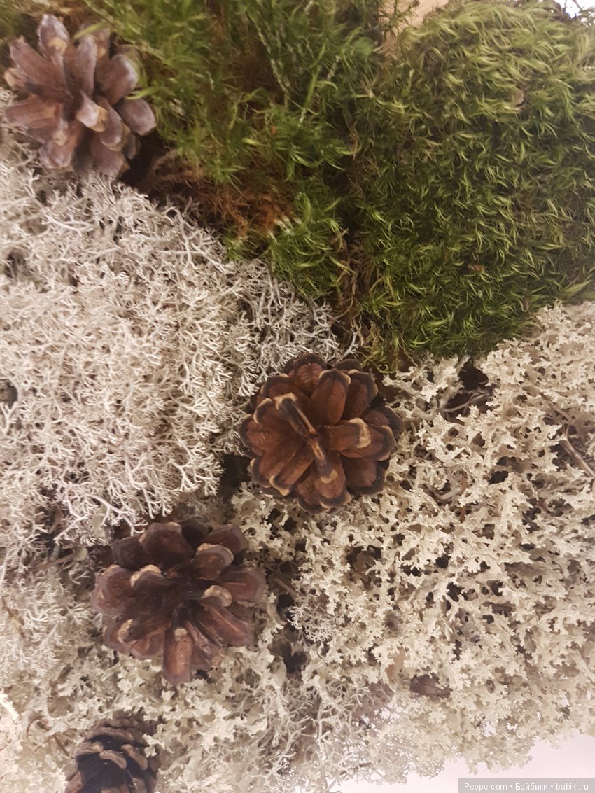 Дом для реалпуки. Часть 1