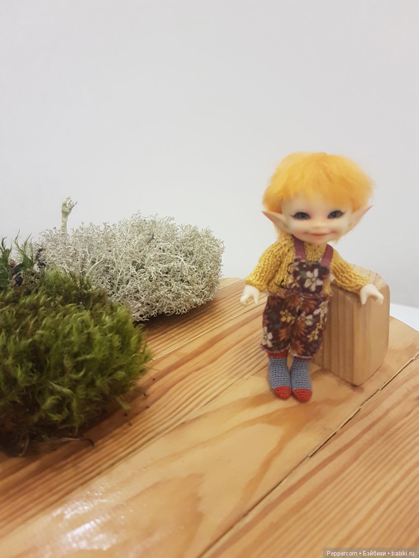 Дом для реалпуки. Часть 1