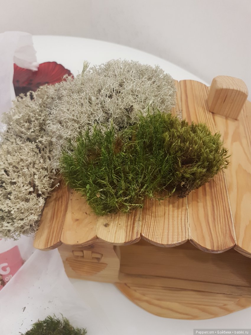 Дом для реалпуки. Часть 1 (фото 8)