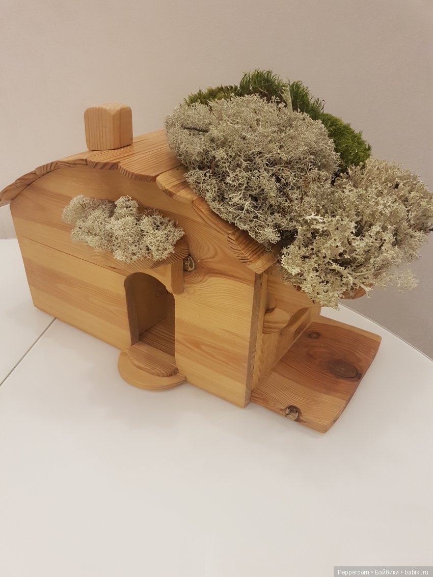 Дом для реалпуки. Часть 1