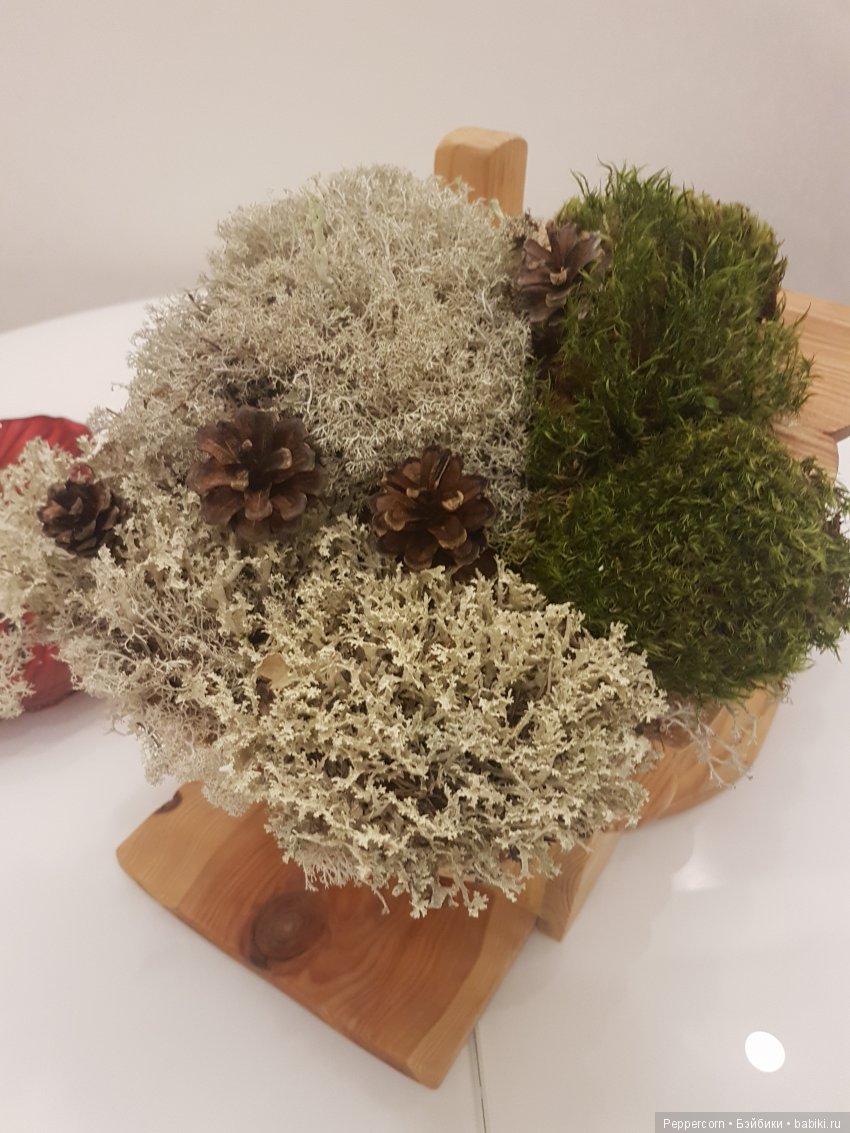 Дом для реалпуки. Часть 1