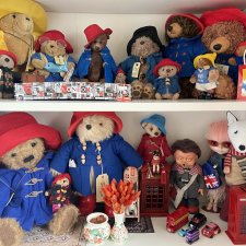 Мои Паддингтоны + наш булька