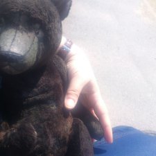 Старый плюшевый друг