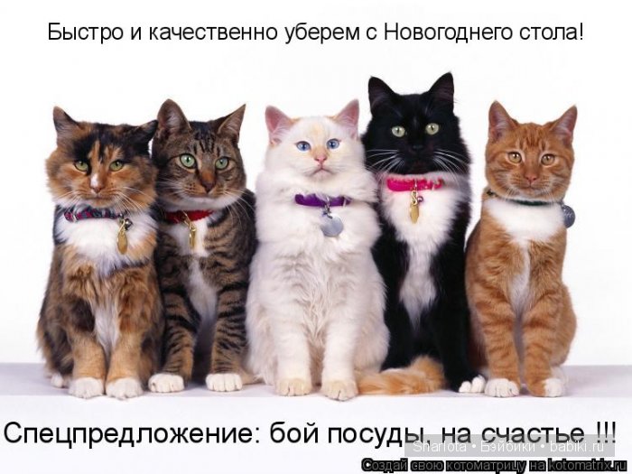 Кошки, ёлка ... Новый Год