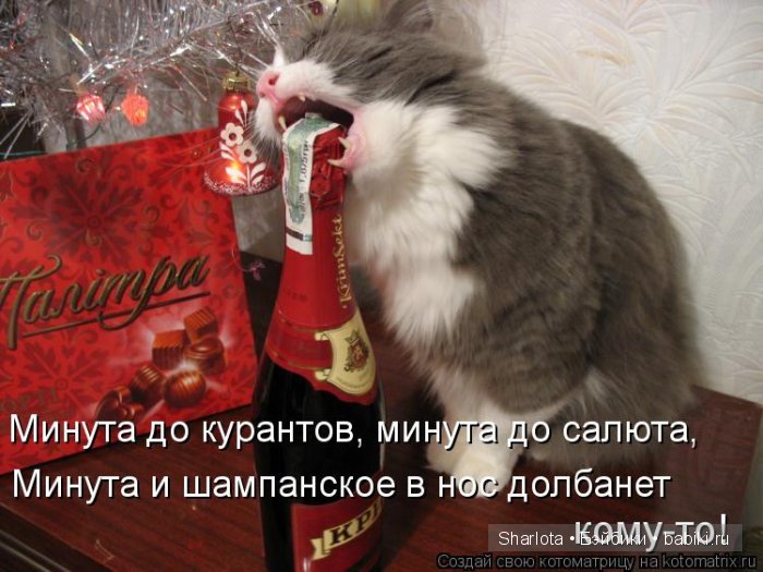 Кошки, ёлка ... Новый Год