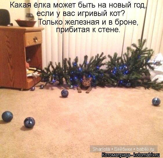 Кошки, ёлка ... Новый Год