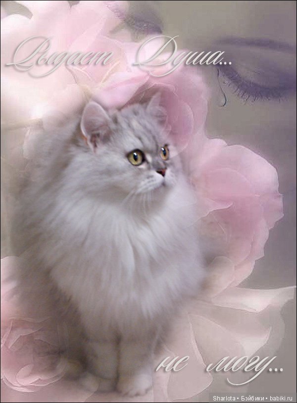 ОНИ уходят за радугу… И плачут Ангелы… Моей любимой девочке Шарлоте посвящаю | Бэйбики ОНИ уходят за радугу… И плачут Ангелы… Моей любимой девочке Шарлоте посвящаю