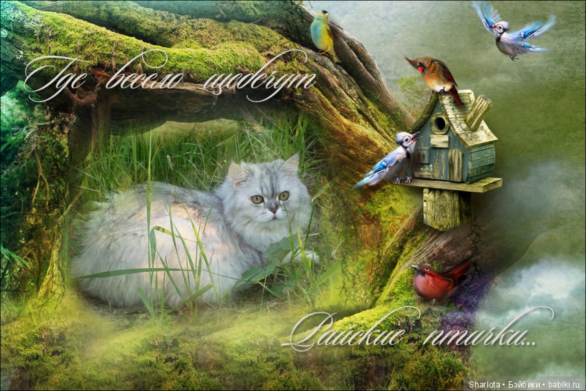 ОНИ уходят за радугу… И плачут Ангелы… Моей любимой девочке Шарлоте посвящаю | Бэйбики ОНИ уходят за радугу… И плачут Ангелы… Моей любимой девочке Шарлоте посвящаю