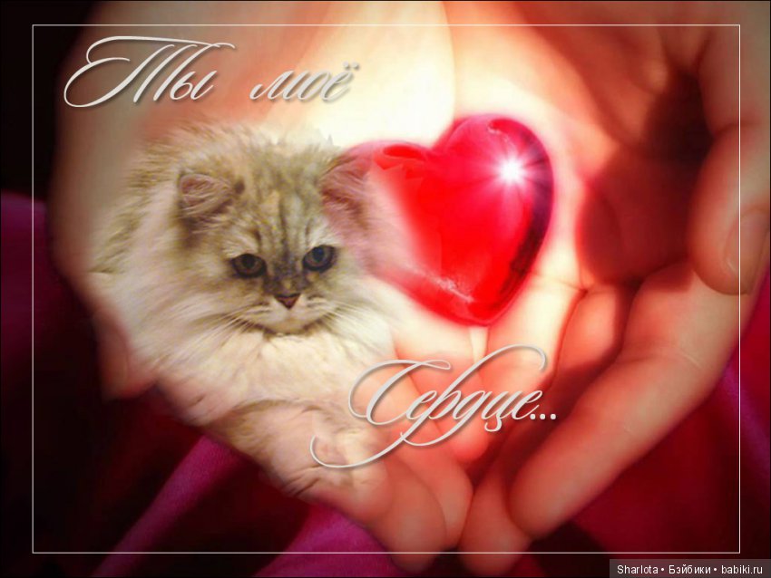 ОНИ уходят за радугу… И плачут Ангелы… Моей любимой девочке Шарлоте посвящаю | Бэйбики ОНИ уходят за радугу… И плачут Ангелы… Моей любимой девочке Шарлоте посвящаю (фото 8)