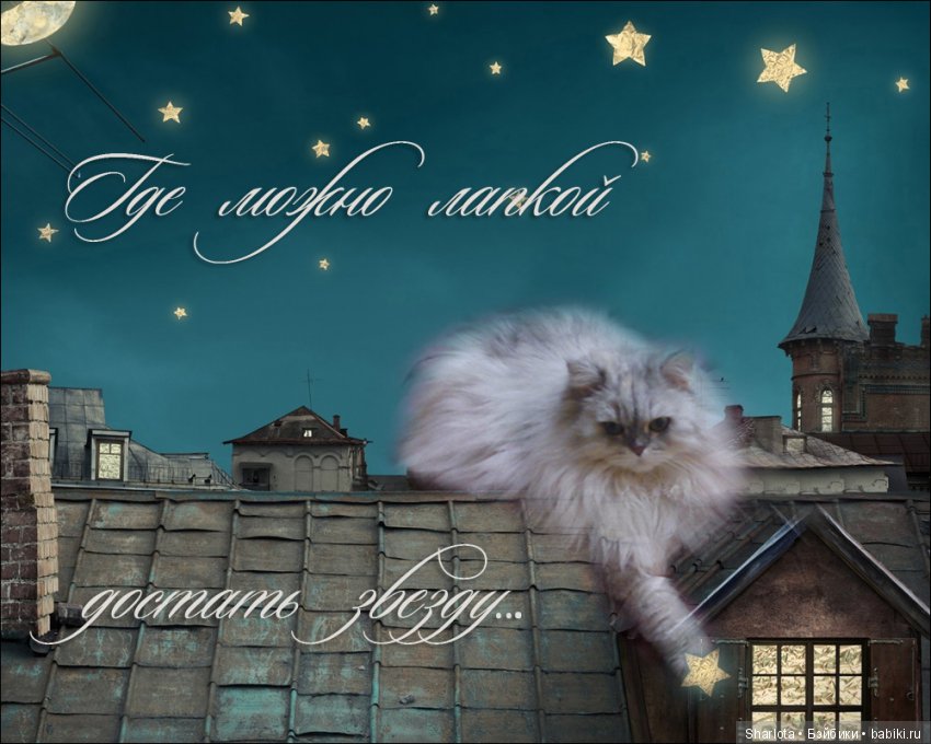 ОНИ уходят за радугу… И плачут Ангелы… Моей любимой девочке Шарлоте посвящаю | Бэйбики ОНИ уходят за радугу… И плачут Ангелы… Моей любимой девочке Шарлоте посвящаю