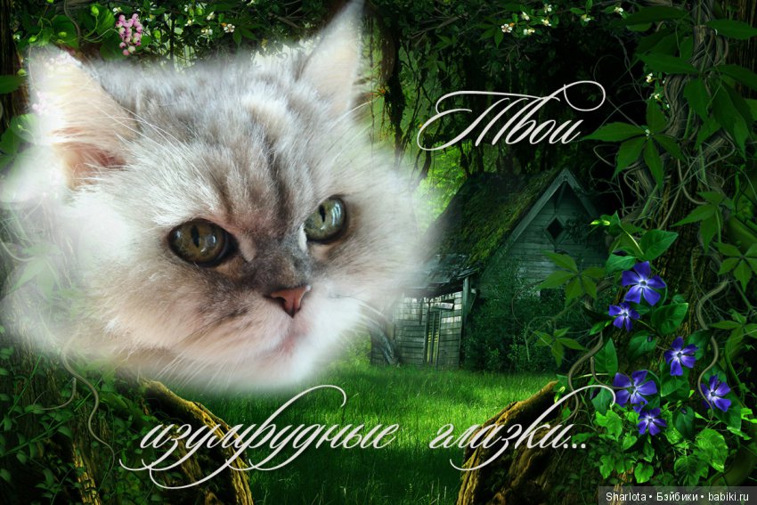 ОНИ уходят за радугу… И плачут Ангелы… Моей любимой девочке Шарлоте посвящаю | Бэйбики ОНИ уходят за радугу… И плачут Ангелы… Моей любимой девочке Шарлоте посвящаю