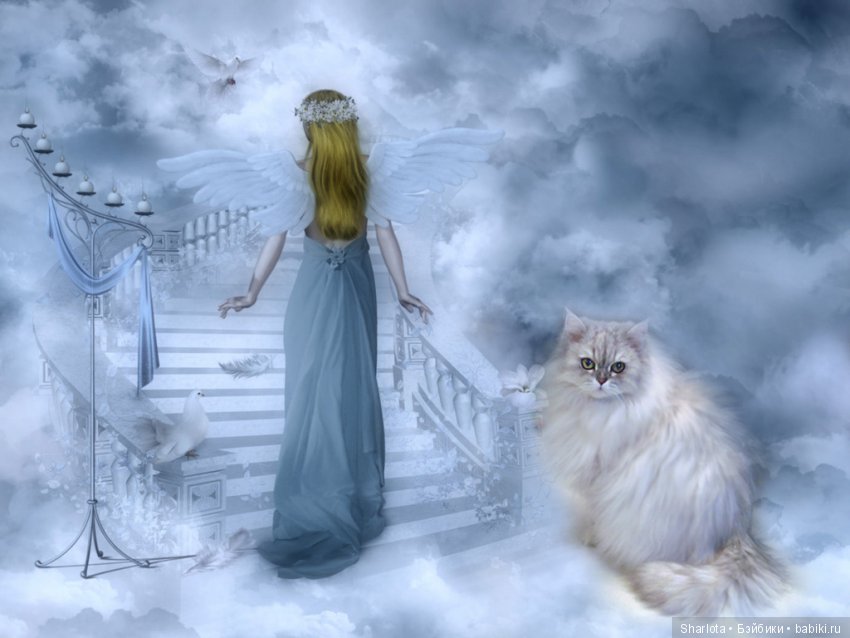 ОНИ уходят за радугу… И плачут Ангелы… Моей любимой девочке Шарлоте посвящаю | Бэйбики ОНИ уходят за радугу… И плачут Ангелы… Моей любимой девочке Шарлоте посвящаю