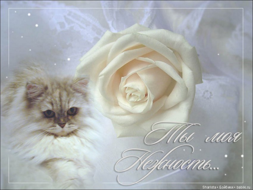 ОНИ уходят за радугу… И плачут Ангелы… Моей любимой девочке Шарлоте посвящаю | Бэйбики ОНИ уходят за радугу… И плачут Ангелы… Моей любимой девочке Шарлоте посвящаю (фото 6)