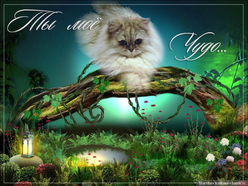 ОНИ уходят за радугу… И плачут Ангелы… Моей любимой девочке Шарлоте посвящаю | Бэйбики ОНИ уходят за радугу… И плачут Ангелы… Моей любимой девочке Шарлоте посвящаю (фото 9)