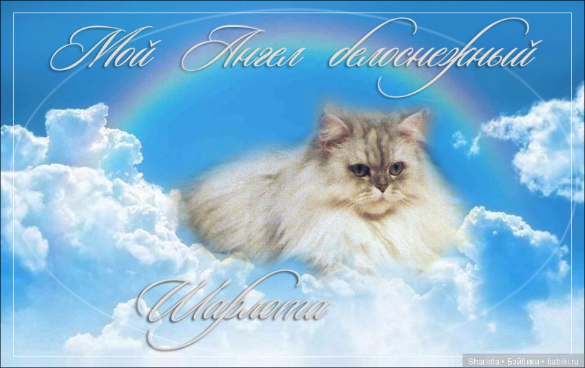 ОНИ уходят за радугу… И плачут Ангелы… Моей любимой девочке Шарлоте посвящаю | Бэйбики ОНИ уходят за радугу… И плачут Ангелы… Моей любимой девочке Шарлоте посвящаю (фото 5)