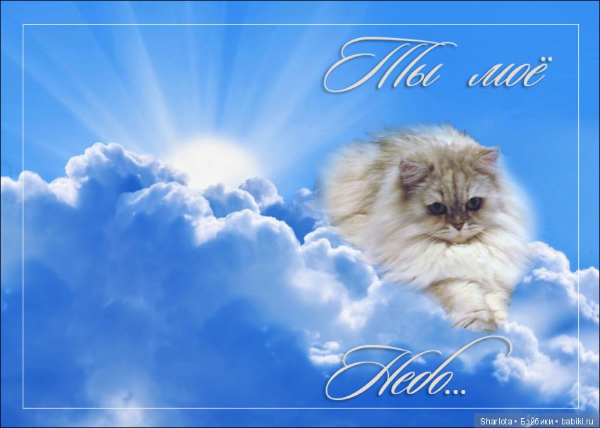 ОНИ уходят за радугу… И плачут Ангелы… Моей любимой девочке Шарлоте посвящаю | Бэйбики ОНИ уходят за радугу… И плачут Ангелы… Моей любимой девочке Шарлоте посвящаю (фото 7)