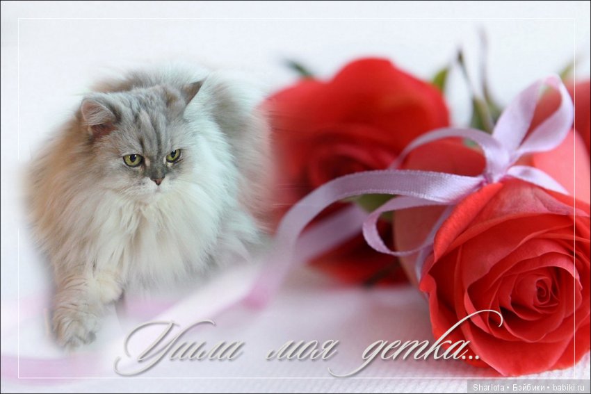 ОНИ уходят за радугу… И плачут Ангелы… Моей любимой девочке Шарлоте посвящаю | Бэйбики ОНИ уходят за радугу… И плачут Ангелы… Моей любимой девочке Шарлоте посвящаю (фото 4)